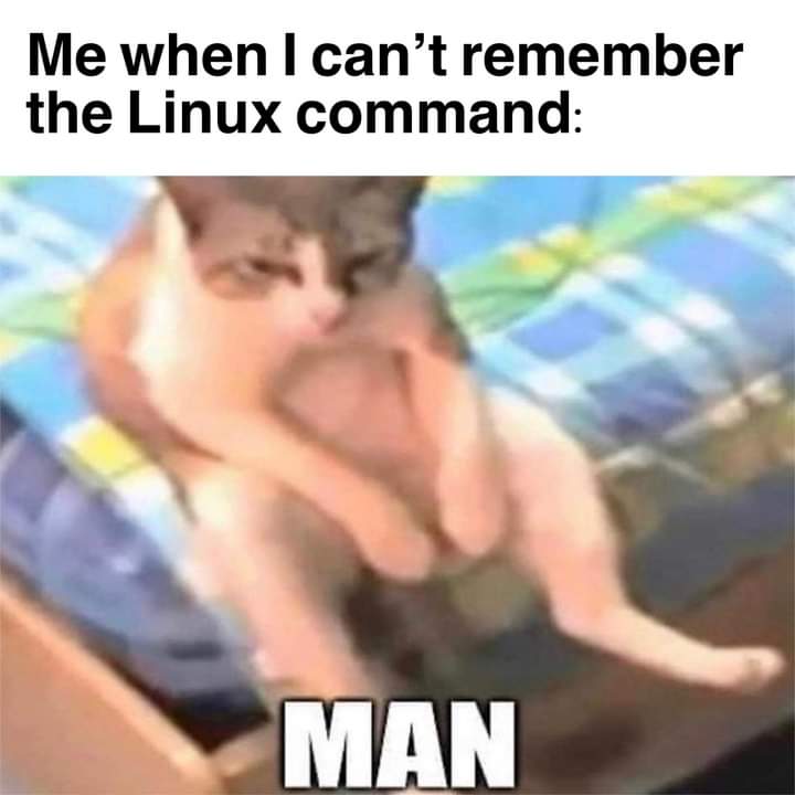 Man-pages meme
