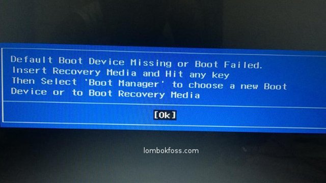 Ini Cara Saya Repair GRUB Linux Mint 18 64bit yang Rusak